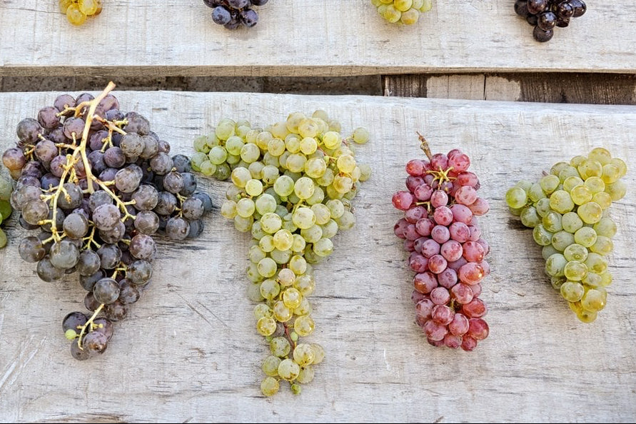 Grape Guide in-depth course